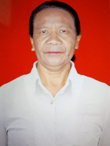 SARLINA D.E.E SAE, S. Pd